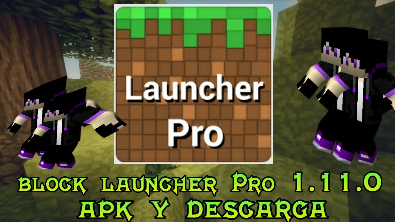 BlockLauncher Pro Guide
